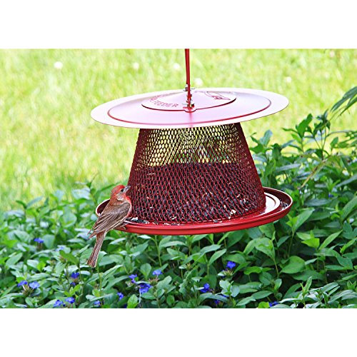1 Perky+Pet+C00322+Cardinal+Bird+Feeder
