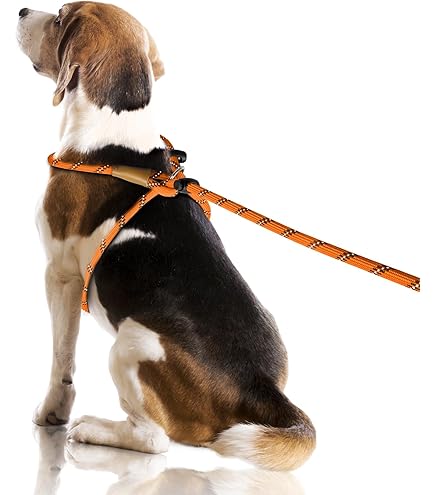 How to Make a Dog Harness Out of Rope: Easy DIY Guide