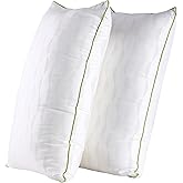 HKYLRAN Bed Pillows Queen Size Set of 2,for Sleeping, Adjustable Queen Pillows 2 Pack with Zipper, Cooling Hotel Quality with Premium Soft Down Alternative Fill