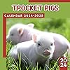 The Original Pocket Pigs Calendar 2024: Animals Calendar 2024 From