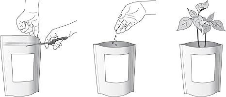 Kit de cultivo Huerto Urbano GUINDILLA: Amazon.es: Jardín