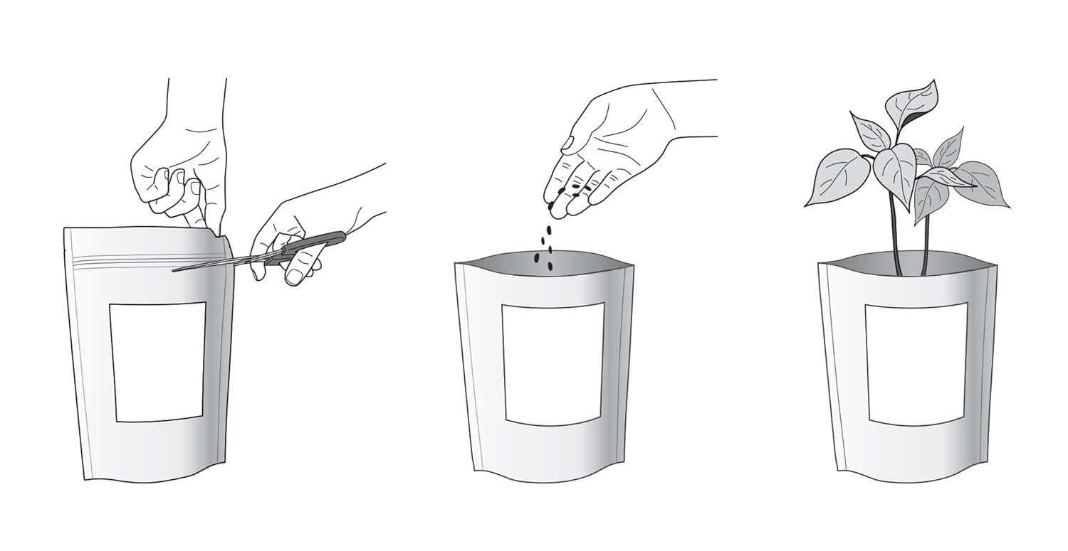 Kit de cultivo huerto urbano PEPINO: Amazon.es: Jardín