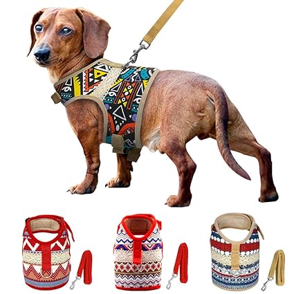 Puppy harness india Clearance