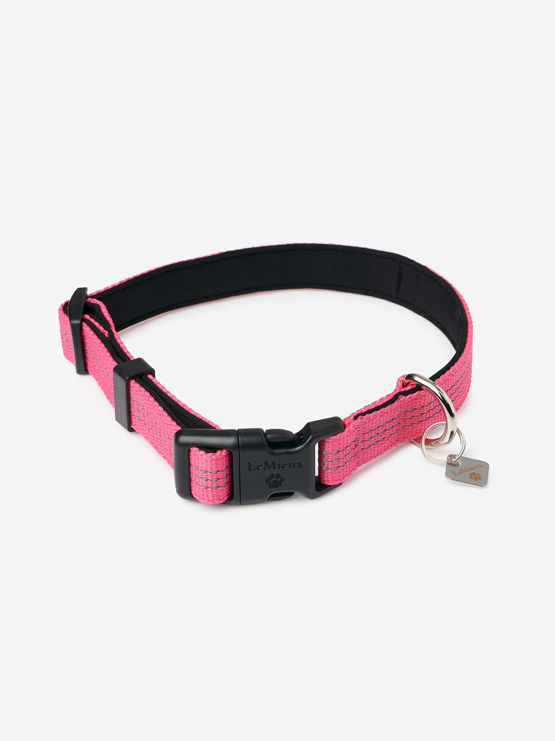 LeMieux Henley Webbing Dog Collar in Watermelon - Outdoor Pet Everyday Walking Neckband - Adjustable for Flexible Fit with Reflective Trim - Large