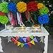 Rainbow Birthday Decorations Rainbow Party Supplies Tissue Paper Pom Pom Paper Garland for Baby Shower Decorations/Birthday Party Decorations/Back to School Party Decorations