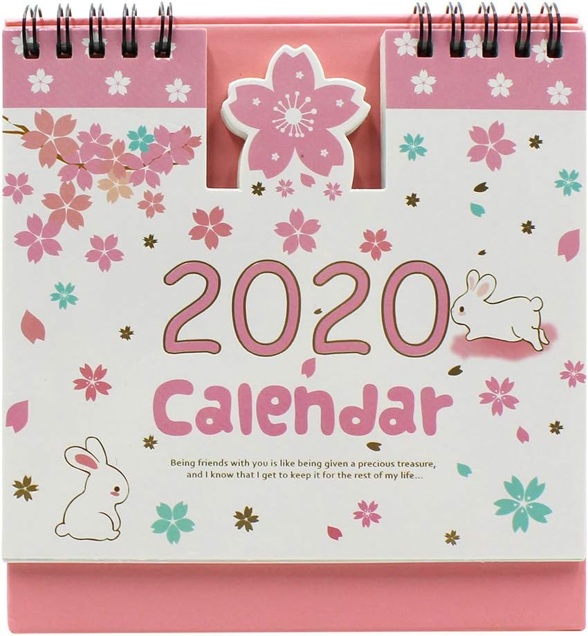 Suillty 2019-2020 Cartoon Desk Calendar Academic Planner Daily Weekly Monthly Yearly Organizer Flip Desktop Memo for Students Home Office (1 Pack)