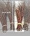 ECOWOODDECOR 100 pcs Birch Twigs for vase decoration. Set of 2 Bundles of Branches 100% natural sticks 17 inches