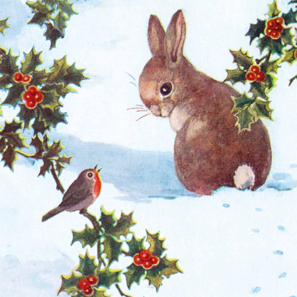 Museums & Galleries Pack of 8 Charity Christmas Cards - 'Rabbit and Robin' - Lovely Artistic Design - 8 Cards of 1 Design