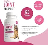 Pawbits 120 Adult Senior Dog Hip & Joint Supplements Green Lipped Mussel view 4