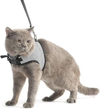 true touch dog grooming glove