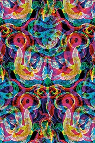 Amazon Co Jp Blik 貼ってはがせるパターン柄壁紙 プロ仕様 Damasco N 2 Pattern Wall Tiles パターンウォールタイルbl Crnv Dmsco N2 Pwt アメリカ発 きれいに剥がせて壁を傷めないので賃貸にもok ホーム キッチン