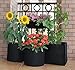 ECOgardener Grow Bags Square Foot Planter Raised Bed Fabric Pot - 12