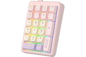 FOPATO NumberPad,21Keys HotSwappable Numpad,Bluetooth5.0/2.4G/Type-C Wireless Numeric Keypad,Rechargeable Number keypad,RGB G