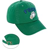 Desert Cactus Florida Gulf Coast University Baseball Hat FGCU Eagles Brimmed Embroidered Hats Cap Adjustable Cloth Strap Adult (Style E) Green