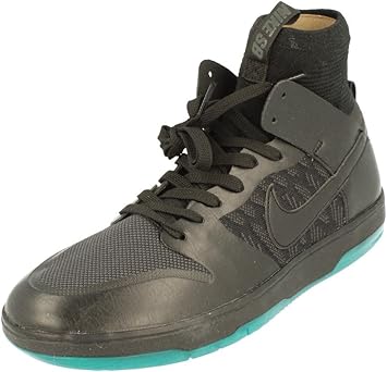 zoom dunk high elite