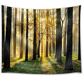 Sun Illuminating a Forest and a Little Tree During Fall Time - Fabric Tapestry, Home Decor - 51x60 inches