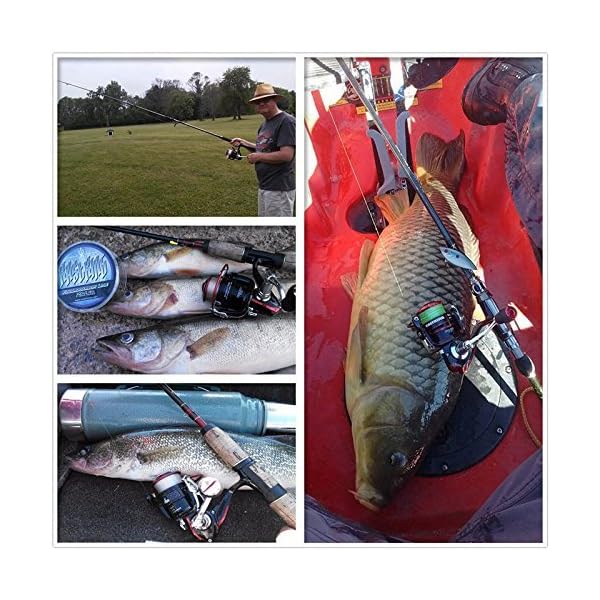 KastKing-Sharky-II-Carbon-Fiber-Spinning-Reel-Brass-Gears-Stainless-Steel-Components-415-Lbs-Max-Drag KastKing-Sharky-II-Carbon-Fiber-Spinning-Reel-Brass-Gears-Stainless-Steel-Components-415-Lbs-Max-Drag