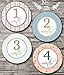 Shabby Chic Baby Monthly Stickers - Shower Gift or Scrapbook Photo Keepsake