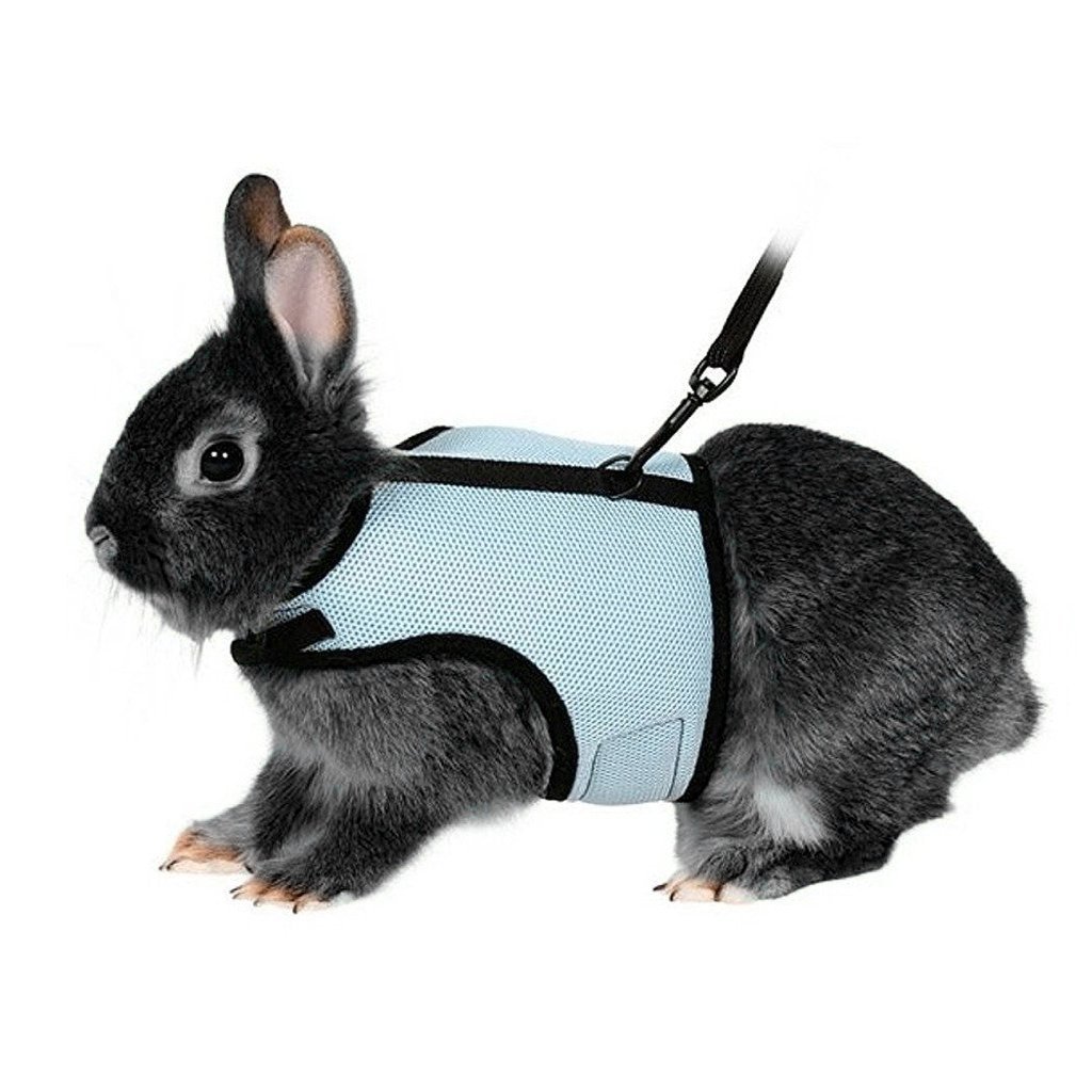 Hypeety Rabbit Kitten Harness Cat Leash for Small Animal Adjustable Soft Harness and Lead Set for Bunny Cat Little Pet Walking (M:Chest(7.09"-9.84"), BLUE)
