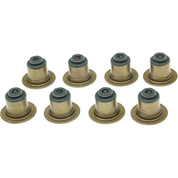 Amazon.com: MAHLE Original SS45969 Engine Valve Stem Oil Seal Set 