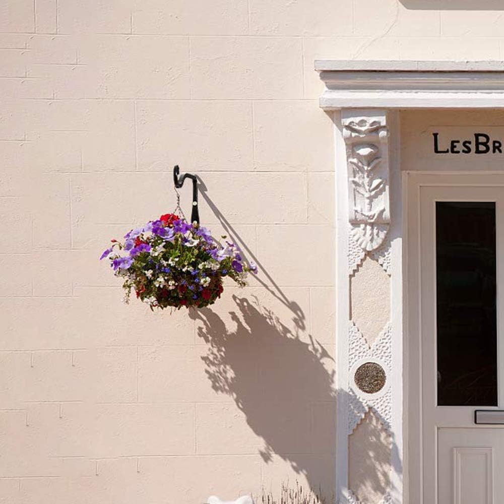 JTWEB Ganchos Negros para Colgar en la Pared Gancho Pared Planta Gancho