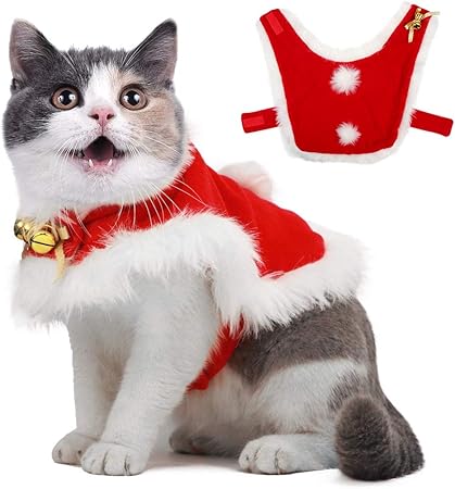 kitten christmas outfit