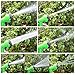 Young go Garden hose, Water hose, Hose Reel, Expandable Garden Hose, with Free 7-way Spray Nozzle Flexible Hose, Best Collapsible Hose (50FT, Green)