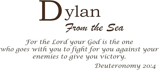 Amazon Com Baby Names Wall Decals For Dylan Displays The Meaning