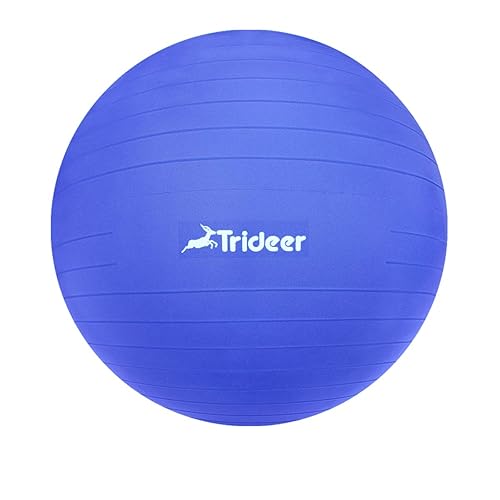 Trideer Exercise Ball (45-85cm) Extra Thick Yoga Ball Chair, Anti-Burst  Heavy Duty Stability Ball Supports 220