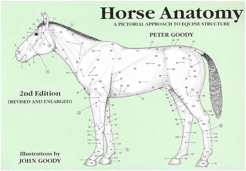 Download Horse Anatomy: A Pictorial Approach to Equine Structure PDF