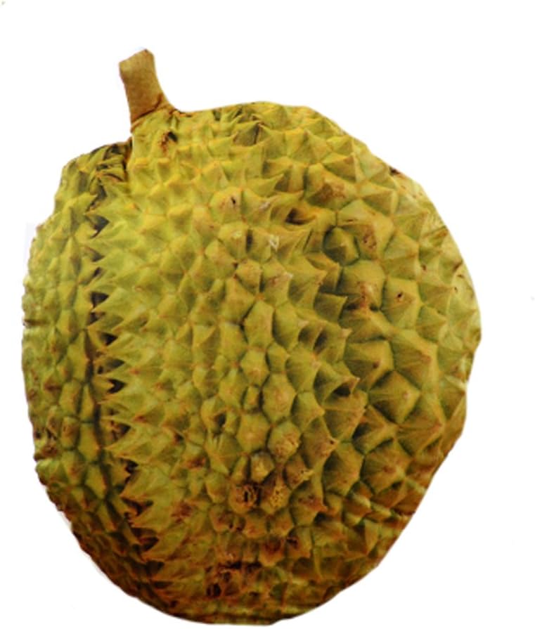 TRENDY XU Simulation Fruits Pillow Cushion Creative Surprise Gifts (Durian)