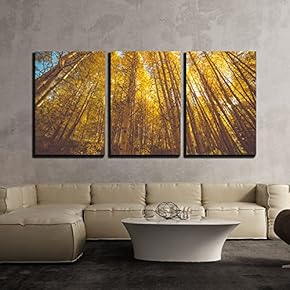 3 Piece Canvas Wall Art - Golden Woods - Modern Home Art Stretched and Framed Ready to Hang - 16"x24"x3 Panels