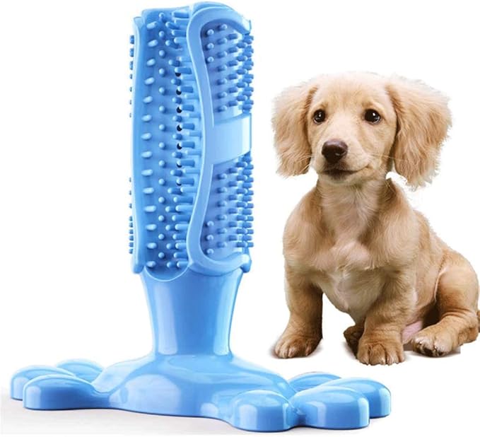 Dog Toothbrush Stick Chew Toys Health Toothbrush Natural