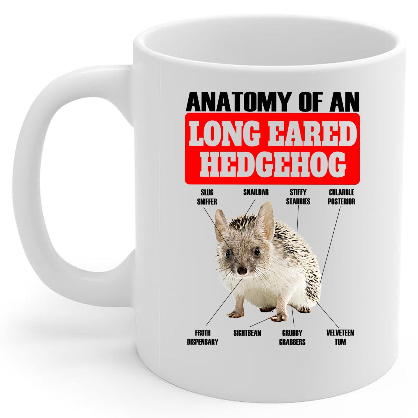 Funny Long Eared Hedgehog Anatomy Chart Coffee Mug