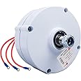 Marsrock 600r/m 100/200/300/400/500/600W 12V or 24V Permanent Magnet Generator AC Alternator for Vertical or Horizontal Wind Turbine 100/200/300/400/500/600W Wind Generator (12V)