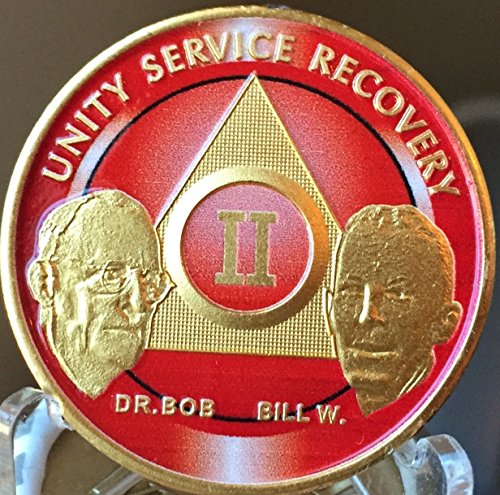 2 Year Founders AA Medallion Red Gold Plated Chip