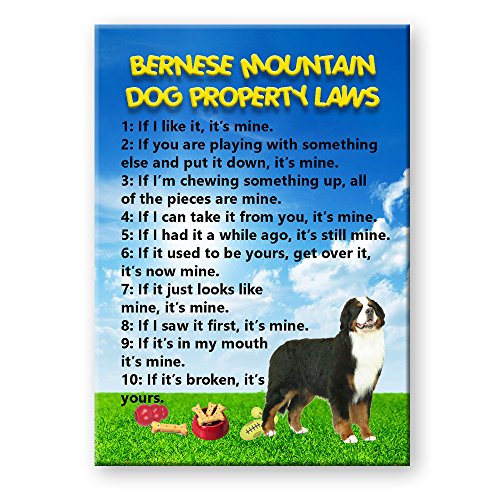 Bernese Mountain Dog Property Laws Fridge Magnet Funny