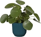 elho Vibes Fold Round 16 Indoor Plant Pot 100% Recycled Plastic Blue view 3