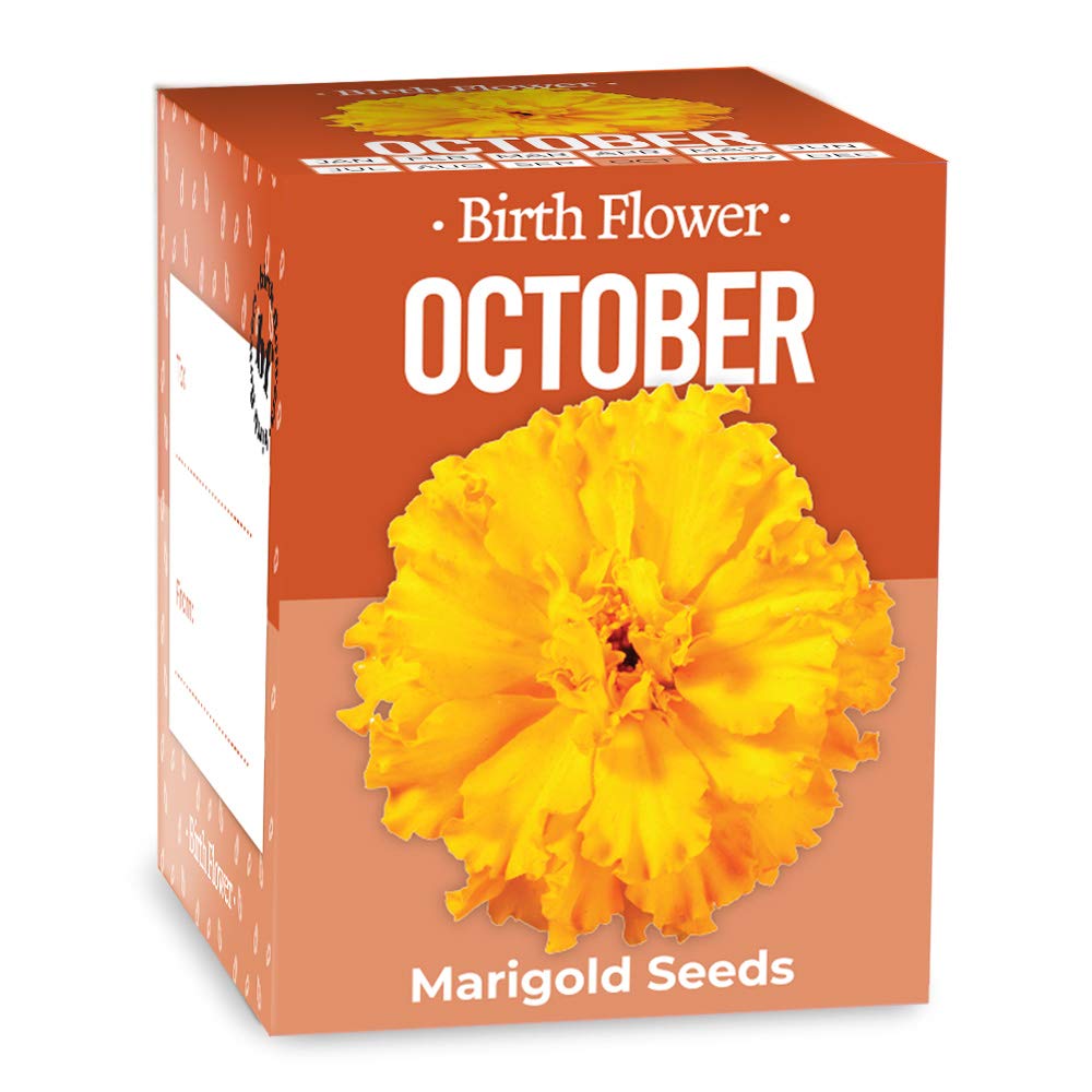 Gift Republic GR130040 Grow October Birth Flowers