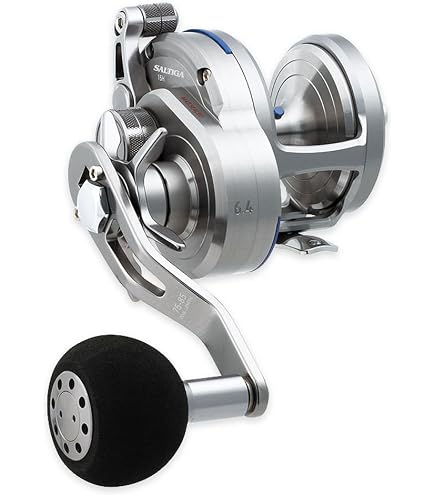 Amazon.com: Daiwa 21 Saltiga IC 100L : Sports & Outdoors