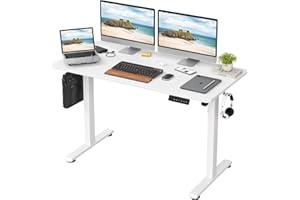 STARY Electric Standing Desk with Memory Preset 48 x 24 Inches Sit Stand up Desk Adjustable Height Desk Home Office Computer Workstation