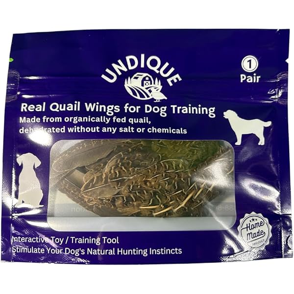 Pheasant Scent Dog Training Pete Rickard's QUAIL Hunting Dog