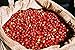 Bali Kintamani Natural, Organic Rain Forest Alliance, Whole Bean Coffee (Light Roast (City), 2.5 Pounds Whole Beans)