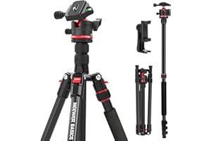 NEEWER Basics 72" / 182 cm Travel Tripod Monopod for Camera, Compact Lightweight Portable Video Recording Stand, Arca Type Ball Head, Cell Phone Holder Compatible with iPhone, Max Load 13.2 lb, TP14B