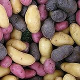 fingerlings new fingerlings new