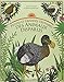 Petites et grandes histoires des animaux disparus (French Edition) by