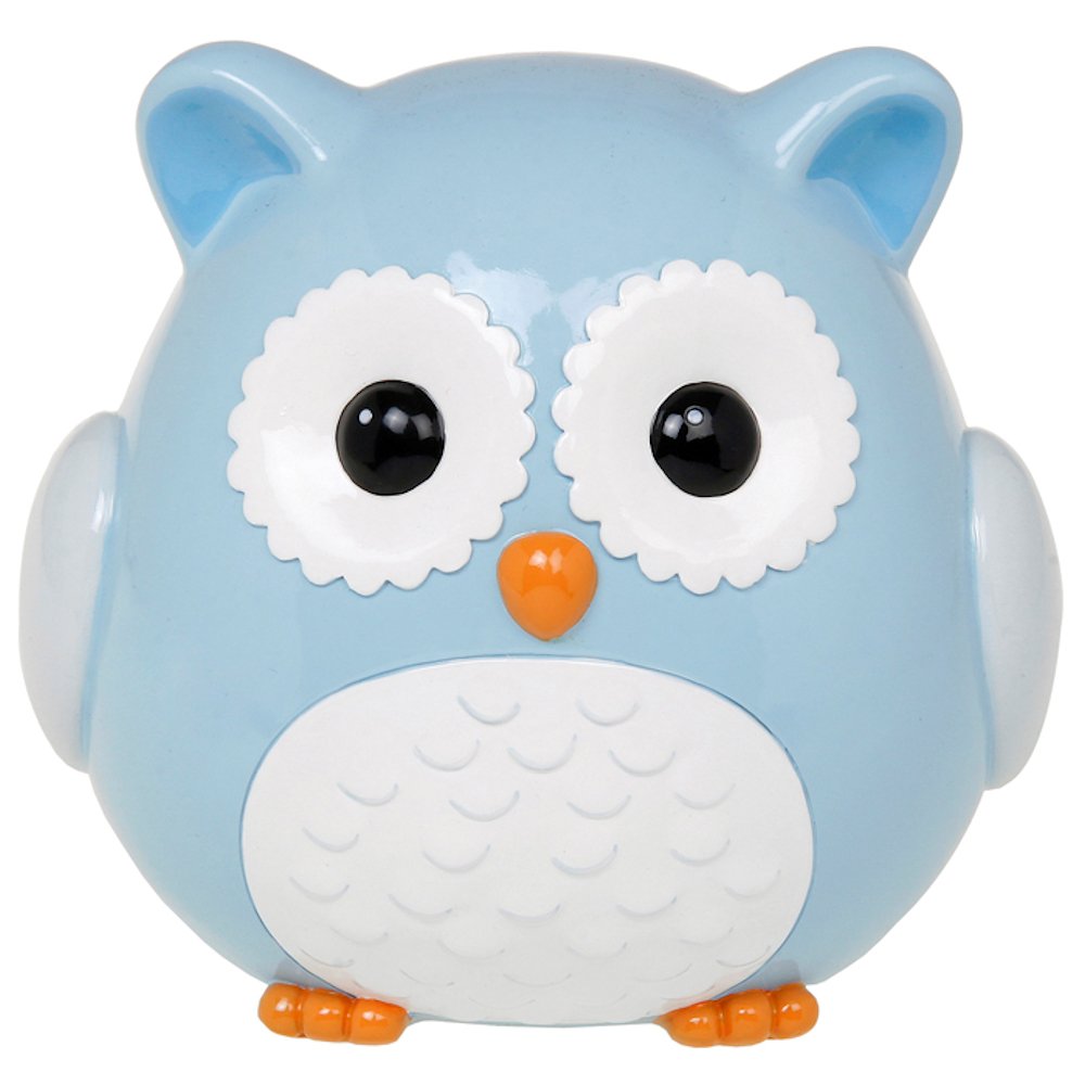 Blue Owl Money Box Amazon.co.uk Computers & Accessories