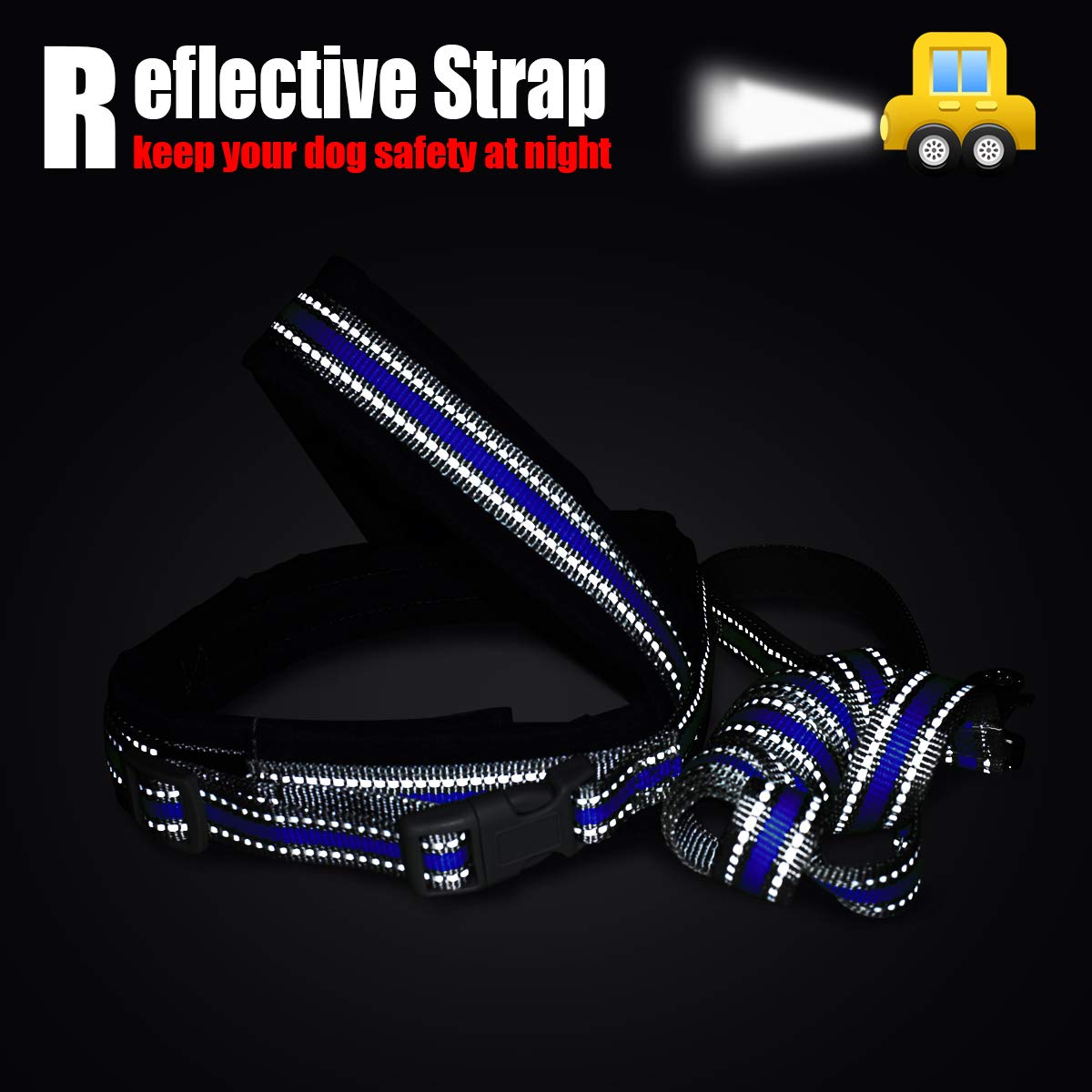 Musonic No Pull Dog Harness for Small Dogs Adjustable Reflective Lightweight Vest Harness Easy Fit and Escape Resistant for Outdoor Training and Walking, Leash Included (M, Blue)