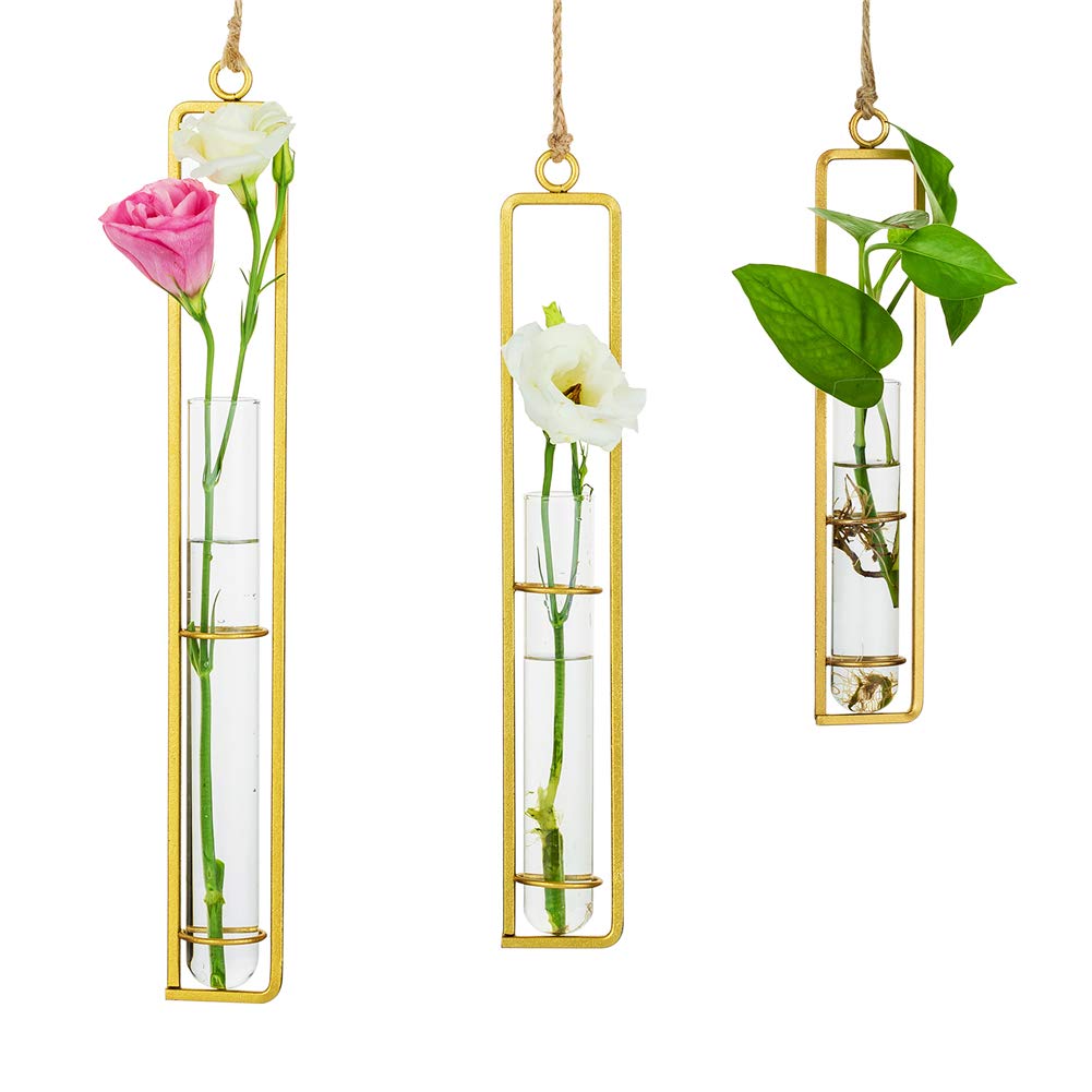 Sziqiqi Hanging Clear Glass Propagation Station Tube Vases for Cuttings, Buds, Greenery Hydroponic Plant Propagation Home Balcony Bath Wall Decoration Floral Container Set of 3 Gold