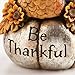 Cypress Home Decorative Be Thankful Hand-Painted Thanksgiving Turkey Tabletop Centerpiece Décor